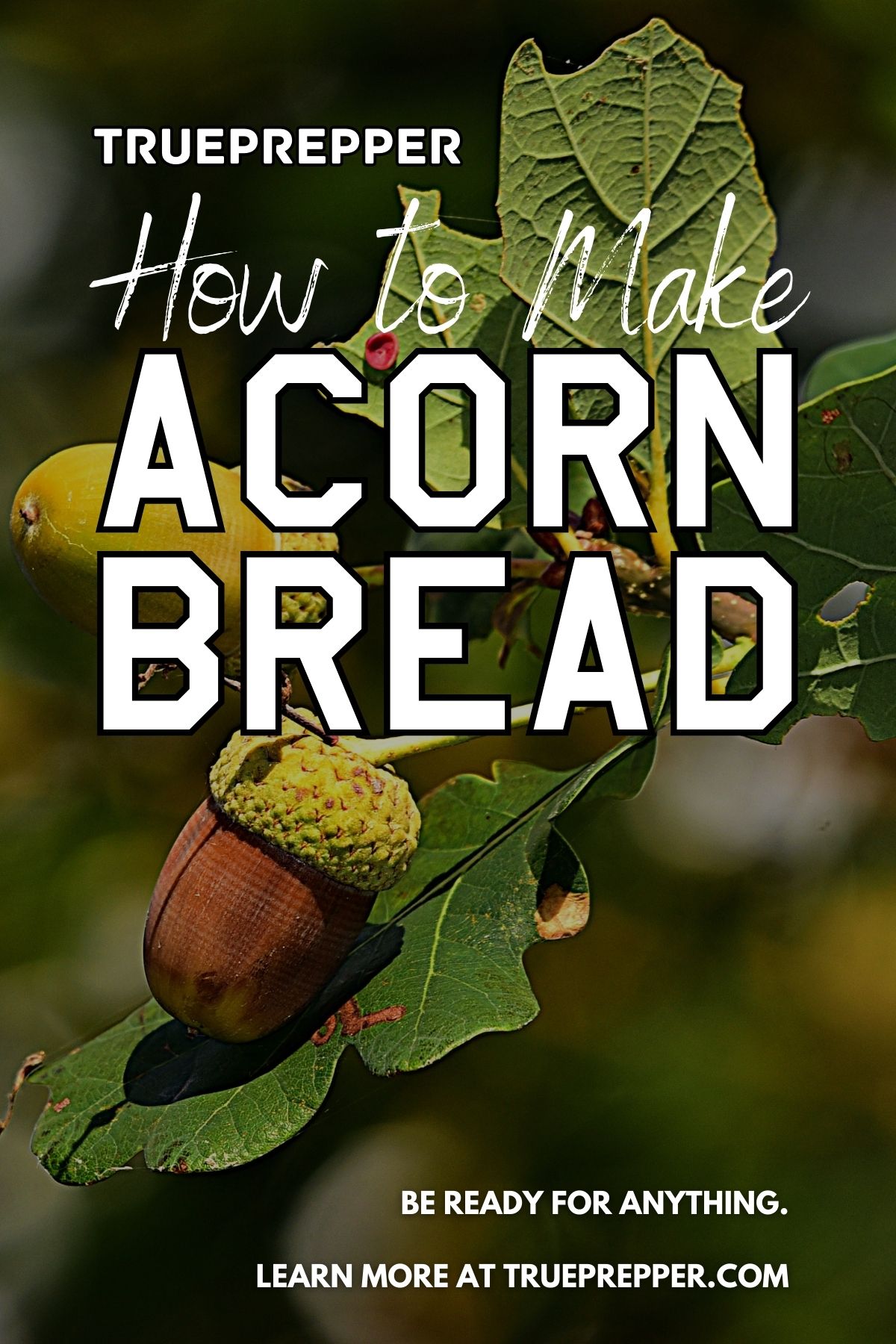 How to Make Acorn Bread